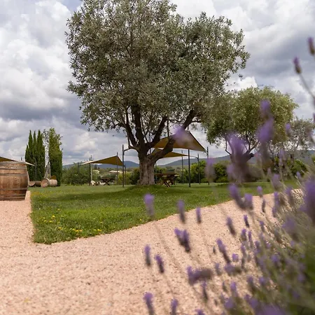 Dell'aioncino Inn