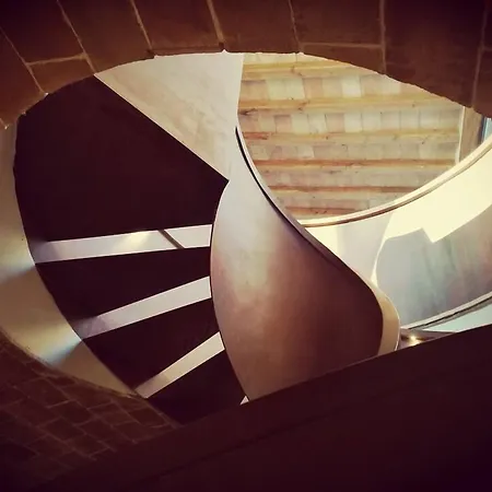 Dell'aioncino Bibbona