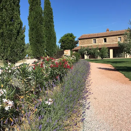 Dell'aioncino Bibbona