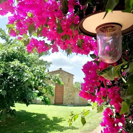 Kro Dell'aioncino Bibbona