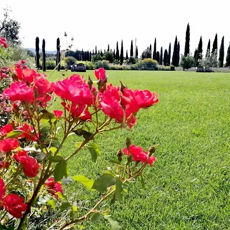 Kro Dell'aioncino Bibbona